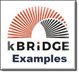 kBridgeExampleIcon